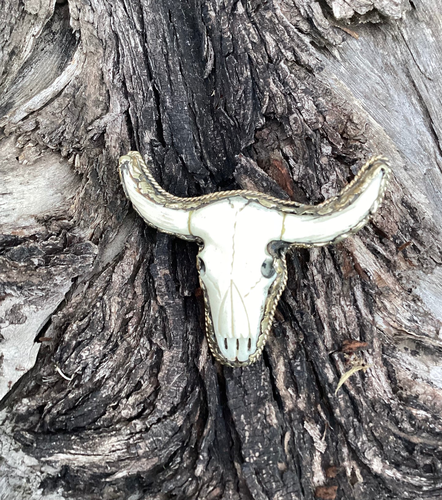 Bone Steer Head